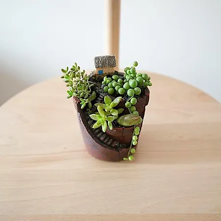 Vita